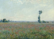 claude_monet/claude_monet_-_poppy_field_-_google_art_project_(430231)