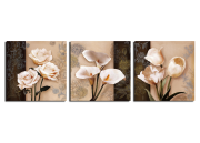 modul_pechat/prv-peizaji-priroda/s-1356-12-k-o_prv